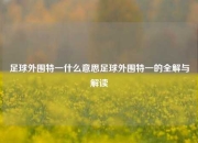 足球外围特一什么意思足球外围特一的全解与解读