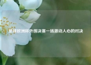 足球欧洲杯外围决赛一场激动人心的对决