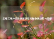 足球买球外围数据哪里看揭秘市场趋势与策略