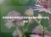 足球彩票外围网站足球彩票外围网站的兴起与挑战