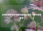 足球外围竞猜计划群构建团队智慧，提升赛事胜率
