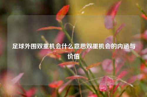 足球外围双重机会什么意思双重机会的内涵与价值