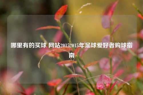 哪里有的买球 网站20152015年足球爱好者购球指南
