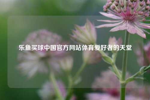 乐鱼买球中国官方网站体育爱好者的天堂