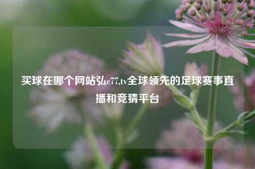 买球在哪个网站弘c77,tv全球领先的足球赛事直播和竞猜平台