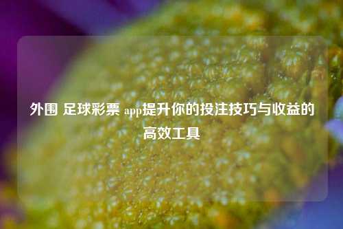 外围 足球彩票 app提升你的投注技巧与收益的高效工具