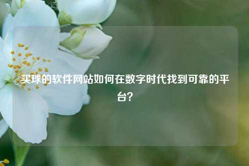 买球的软件网站如何在数字时代找到可靠的平台？