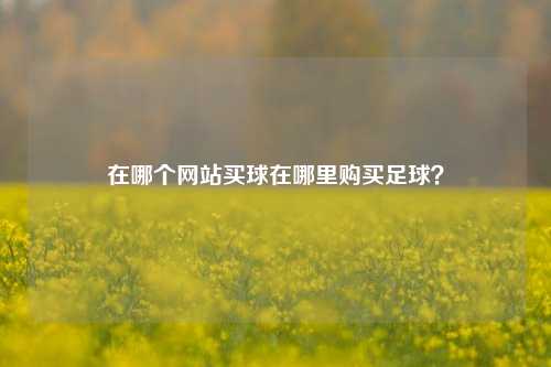 在哪个网站买球在哪里购买足球？