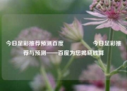 今日足彩推荐预测百度🎖️今日足彩推荐与预测——百度为您揭晓胜算
