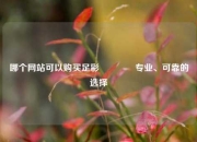 哪个网站可以购买足彩🥇专业、可靠的选择