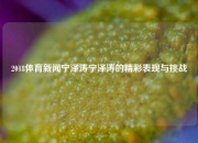 2018体育新闻宁泽涛宁泽涛的精彩表现与挑战