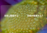足彩sp值是什么🏅足彩SP值是什么？