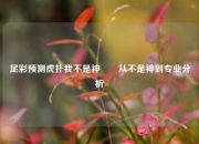 足彩预测虎扑我不是神✌️从不是神到专业分析