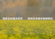 智胜足彩缩水软件✌️如何在市场中脱颖而出