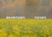 足彩分析方法技巧🏆方法与技巧