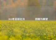 2018年足彩比分👍回顾与展望