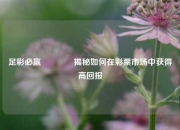 足彩必赢👈揭秘如何在彩票市场中获得高回报