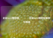 足彩16142期欧赔👈足彩16142期欧赔解析与预测