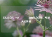 足彩胜负彩18028🏅把握胜负关键，规避风险策略