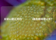 足彩0:0是让负吗👍0是否意味着让负？