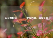 16137期足彩🌈把握胜算，享受乐趣