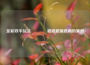 足彩双平玩法👍稳稳把握胜局的策略
