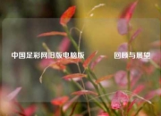 中国足彩网旧版电脑版🏆回顾与展望