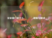 足彩盘口是什么🌈理解与解读