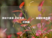 体彩大赢家-足彩竞彩🎖️揭秘彩票市场的两面