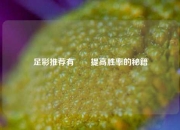 足彩推荐有✌️提高胜率的秘籍