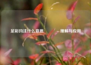 足彩均注什么意思🏆理解与应用