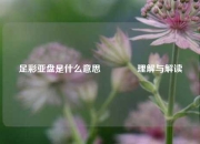 足彩亚盘是什么意思🥇理解与解读