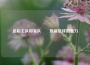 足彩主队和客队✌️竞猜足球的魅力