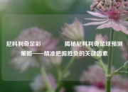 尼科利奇足彩🏆揭秘尼科利奇足球预测策略——精准把握胜负的关键因素