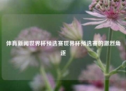 体育新闻世界杯预选赛世界杯预选赛的激烈角逐