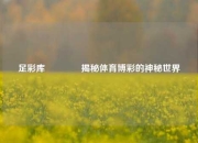足彩库👉揭秘体育博彩的神秘世界