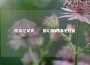 墨肯尼足彩✌️博彩界的神秘力量