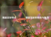 瑞超足彩特点🥇瑞超足彩的特点与魅力