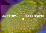 足彩什么叫心水🏆心水投注的精髓与策略