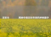 足彩分👉揭秘中国足彩市场的神秘面纱