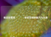 唯足彩看球👈享受足球的魅力与乐趣