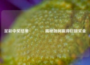 足彩中奖结果🏅揭秘如何赢得巨额奖金