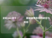 足彩16081佬牛👍揭秘赌博背后的秘密与风险