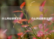 什么网站销售足彩🥇什么网站销售足彩？