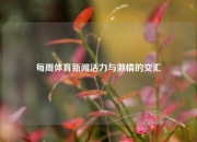 每周体育新闻活力与激情的交汇