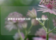 世界杯足彩如何分析✌️策略与技巧