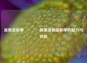 波胆足彩单🥈探索波胆足彩单的魅力与风险