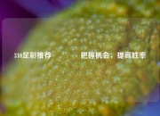 310足彩推荐👍把握机会，提高胜率