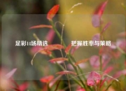 足彩14场精选👍把握胜率与策略