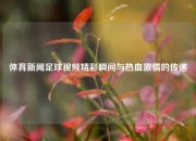 体育新闻足球视频精彩瞬间与热血激情的传递